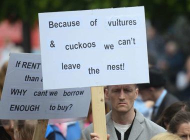 man holds a sign which reads "Because of vultures & cuckoos we can't leave the nest!"